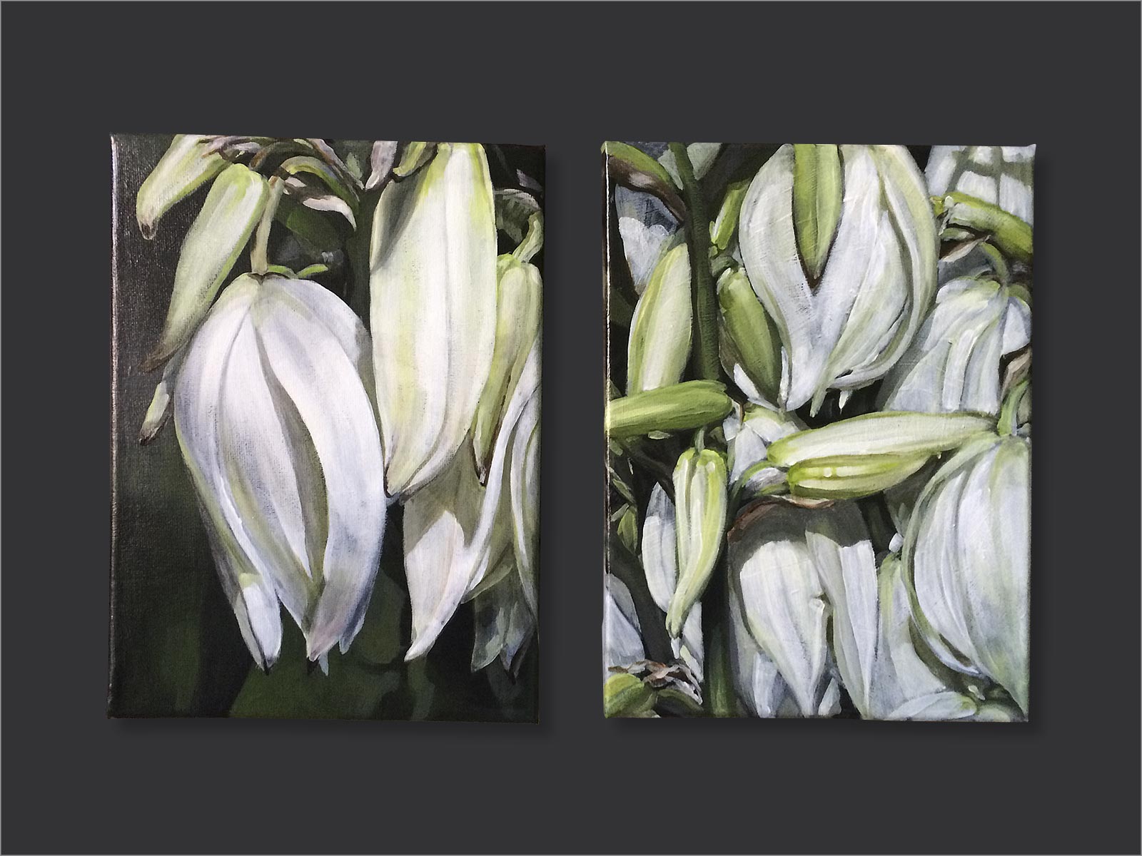 close-ups van de imposante bloementrossen van de yucca-plant
